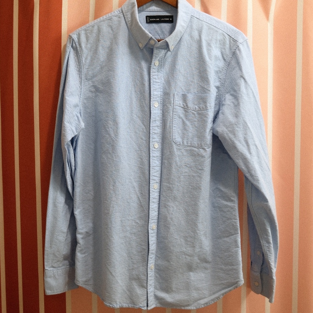 Everlane Light Blue Dress Shirt